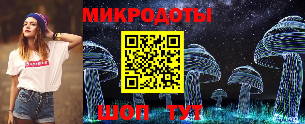 Псилоцибиновые грибы Cubensis Орск